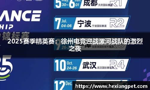 2025赛季精英赛：徐州电竞迎战漯河战队的激烈之夜