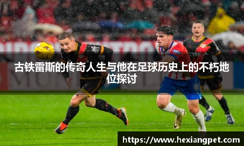NBA直播在线高清直播