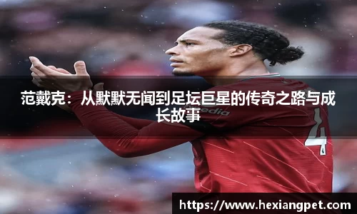 范戴克：从默默无闻到足坛巨星的传奇之路与成长故事