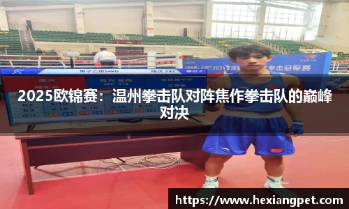 NBA直播