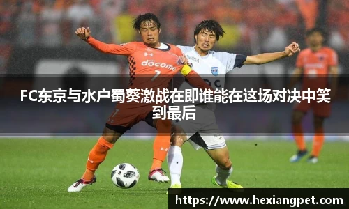 FC东京与水户蜀葵激战在即谁能在这场对决中笑到最后