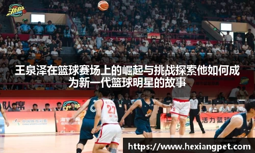 王泉泽在篮球赛场上的崛起与挑战探索他如何成为新一代篮球明星的故事